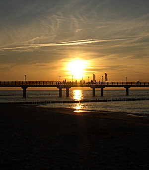 Ferienwohnnung Umgebung Zingst